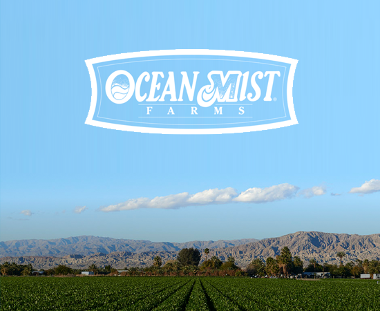 Ocean Mist Farms Website Refresh CTA