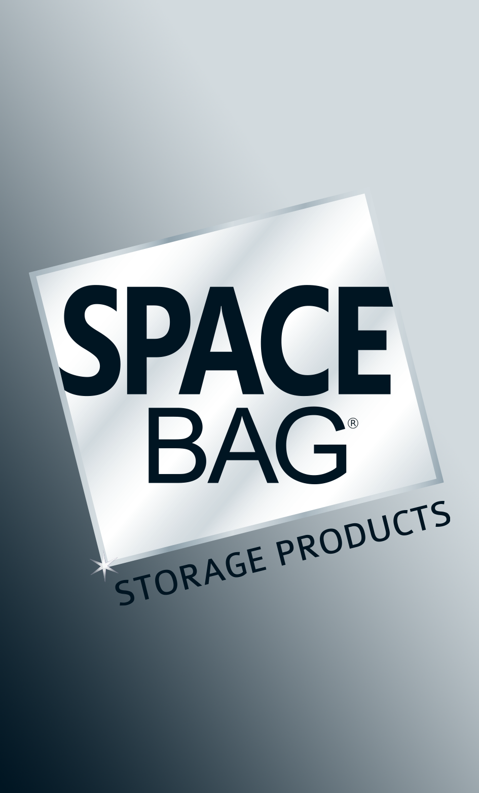 Developing an Online Community for Space Bag Case Study