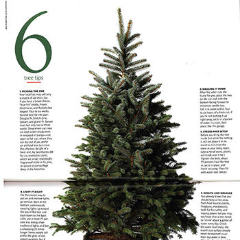 National Media Placements for Real Christmas Trees Image 02