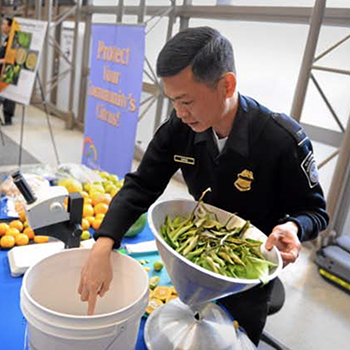 Multicultural Outreach to Save California Citrus Image 04