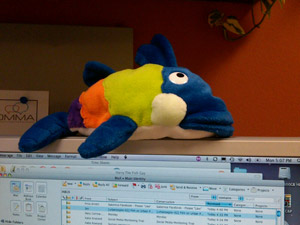 NST Fish