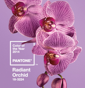 Radiant Orchid - 2014 Color of the Year