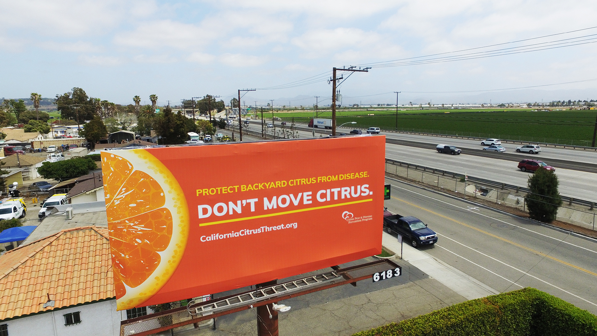 CPDPP don't move citrus